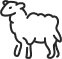 Lamb Icon